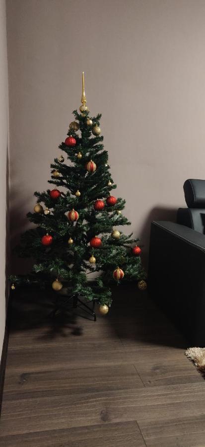 Home Apartament Brassó Kültér fotó